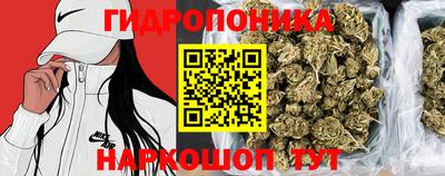 шишки Моздок