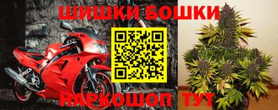 шишки Моздок
