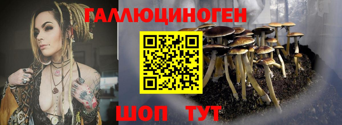 Холмск  Псилоцибиновые грибы мицелий  Вход с VPN 